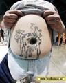 tattood-moo.jpg