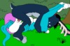 Binkys_Beaus04-3.jpg