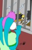 Binkys_Beaus05-5.jpg