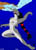 Shark.jpg