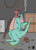 jkldrgn.jpg