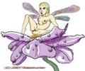 Babe Fairy on Anemone1