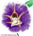 Babe in Morning glory