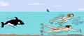Whale Gag