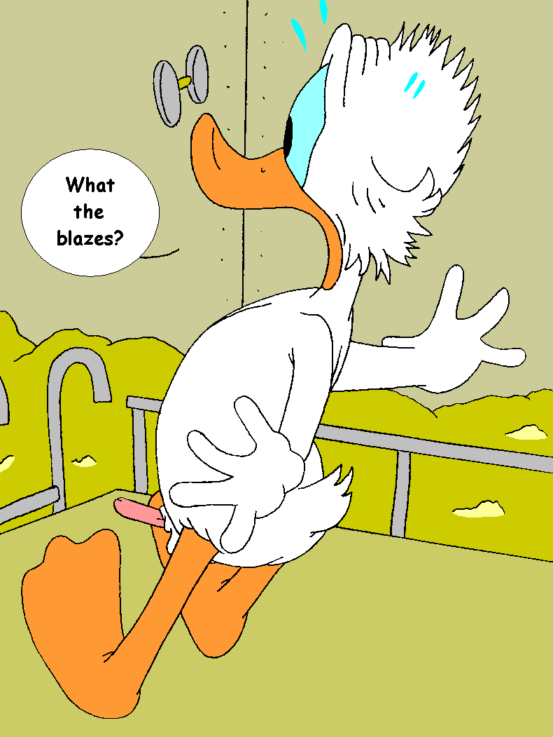 Mouseboy - Donald versus Scrooge - Picture 8