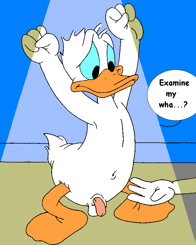 Mouseboy - Surprise for Donald - Picture 18