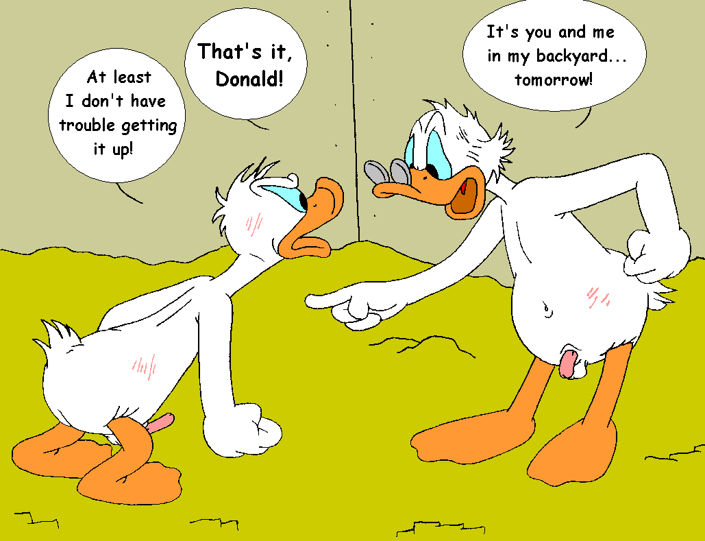 Mouseboy - Donald versus Scrooge - Picture 22