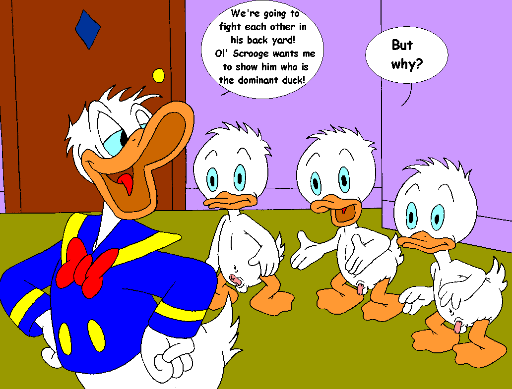 Mouseboy - Donald versus Scrooge - Picture 31