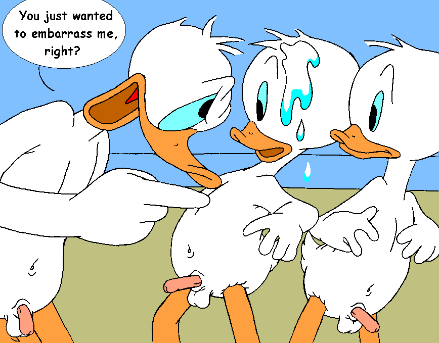 Mouseboy - Surprise for Donald - Picture 48