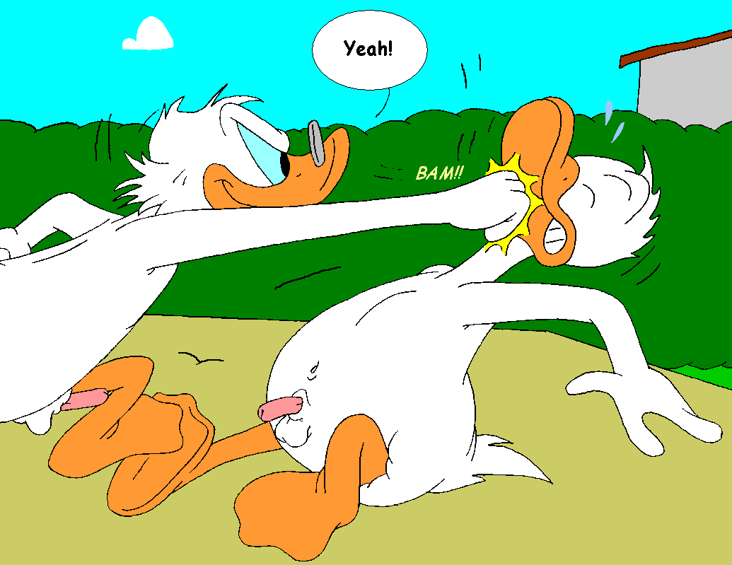 Mouseboy - Donald versus Scrooge - Picture 70