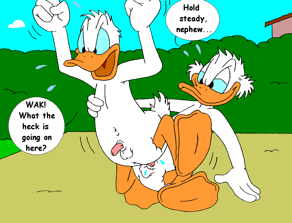 Mouseboy - Donald versus Scrooge - Picture 75