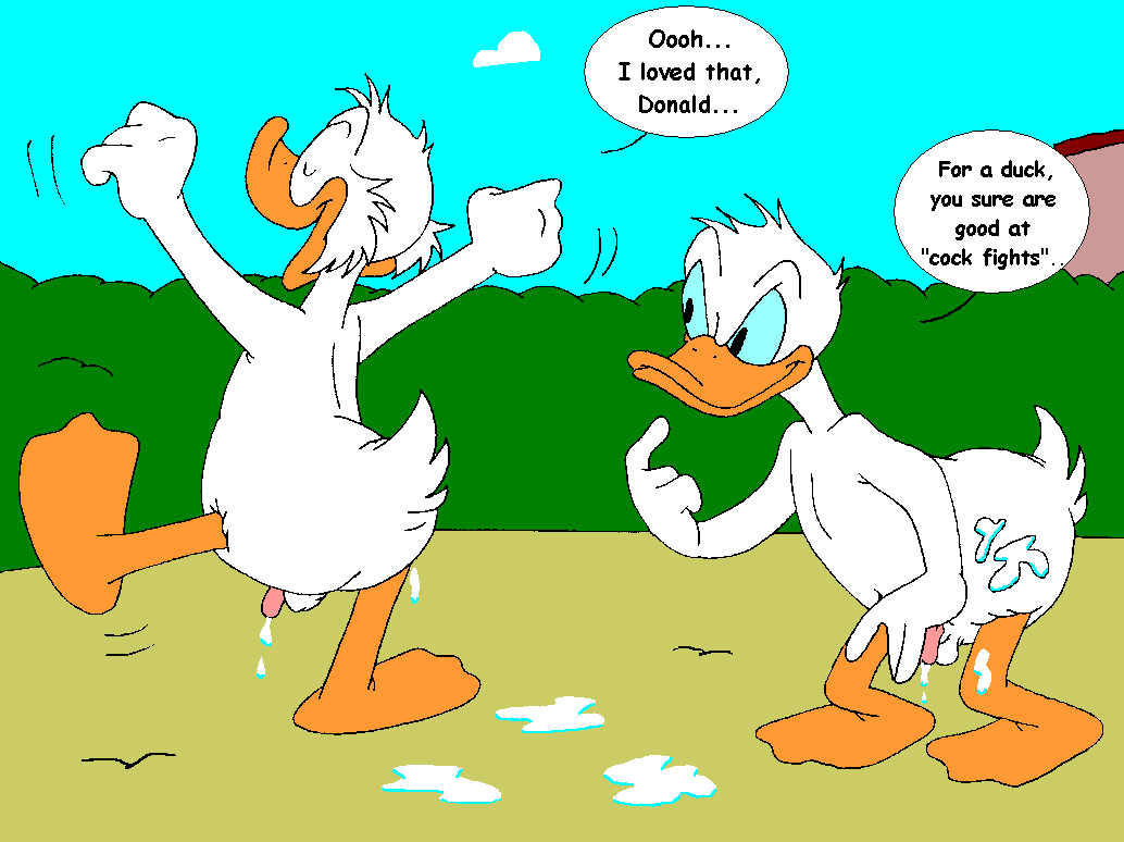 Mouseboy - Donald versus Scrooge - Picture 96