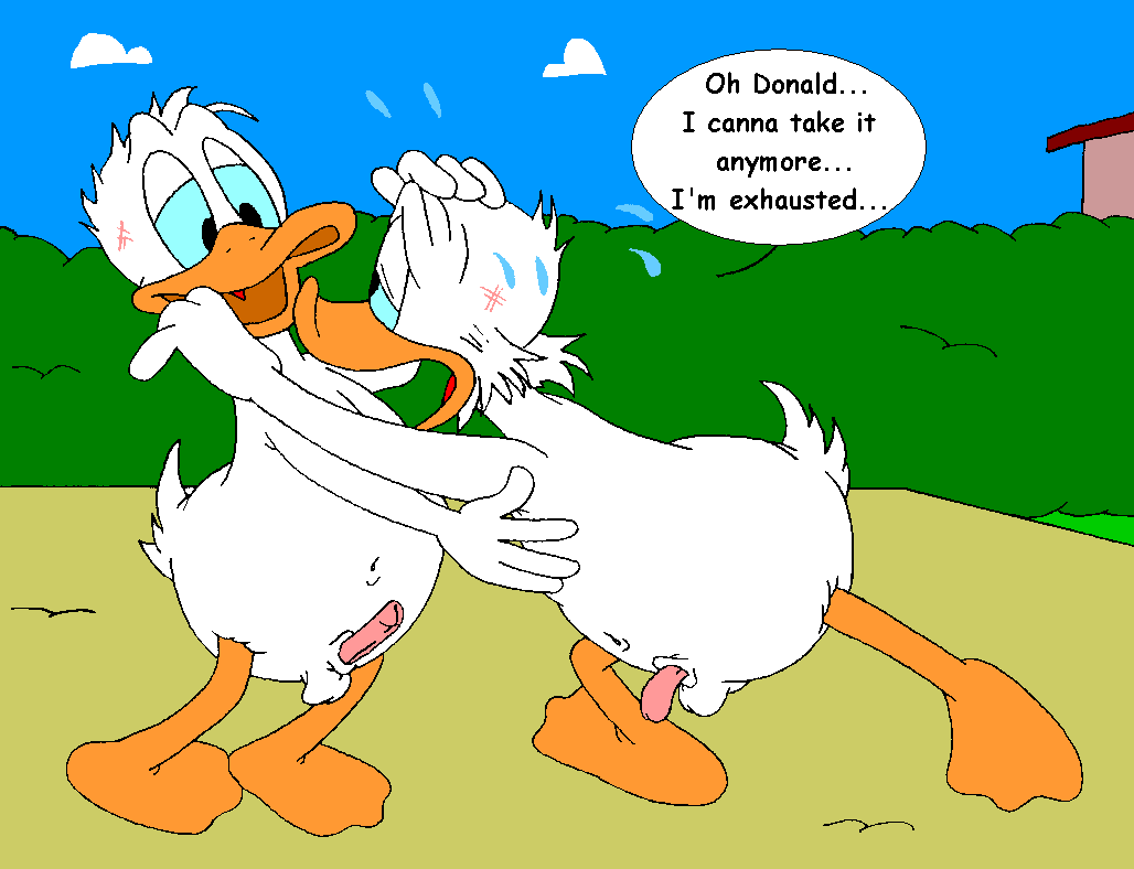 Mouseboy - Donald versus Scrooge - Picture 110