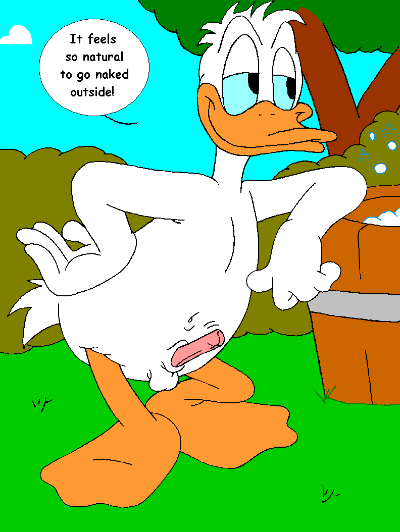 Mouseboy - Donald Versus Scrooge: Every Saturday - Picture 9