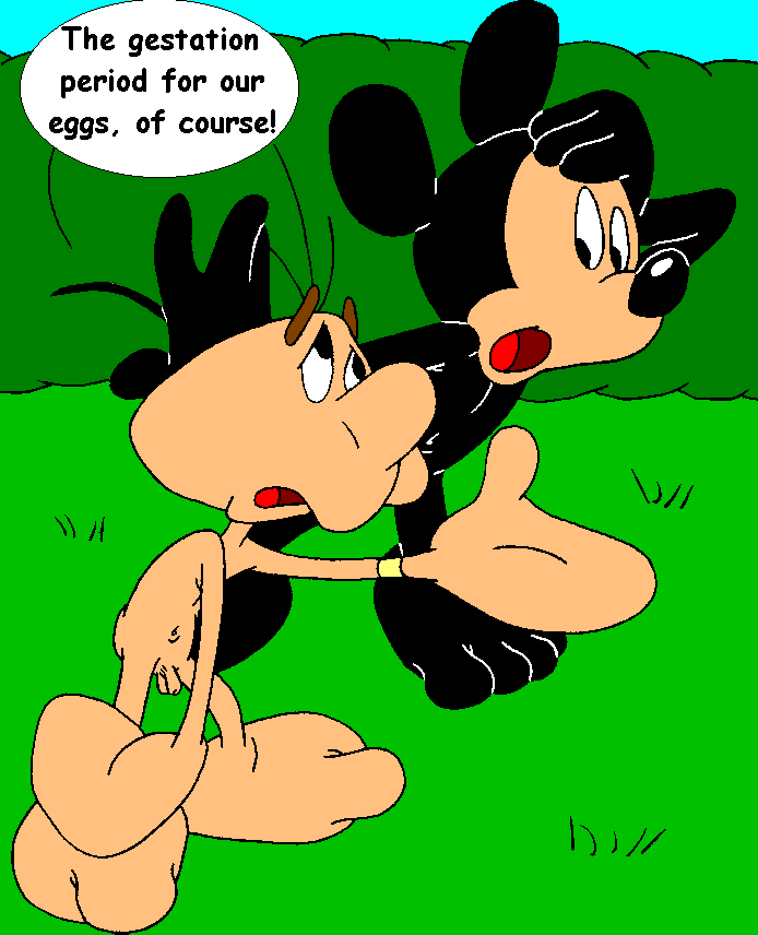 Mouseboy - Egga's egg - Picture 49