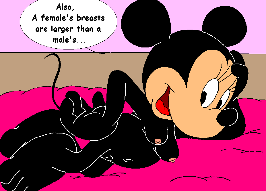 Mouseboy - Facts of Sex - Picture 14