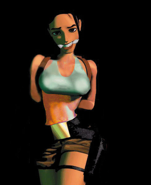 Sexy Lara Croft - Picture 14