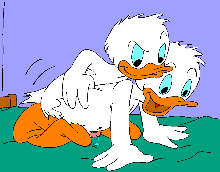 Donald duck hidden orgies.