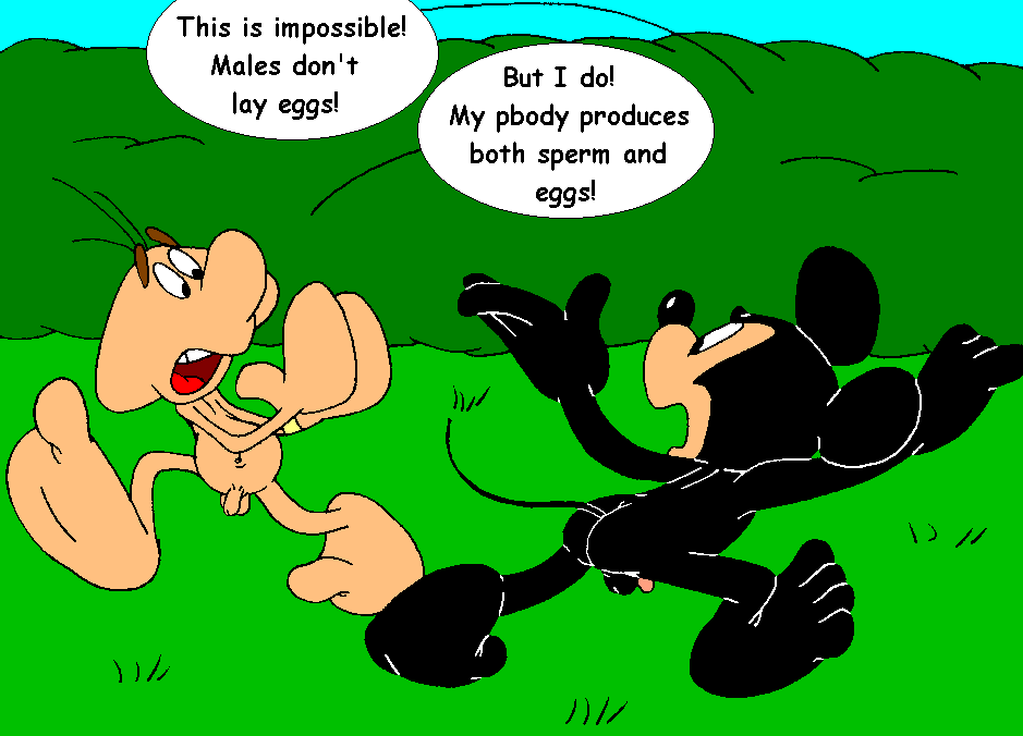 Mouseboy - Egga's egg - Picture 54