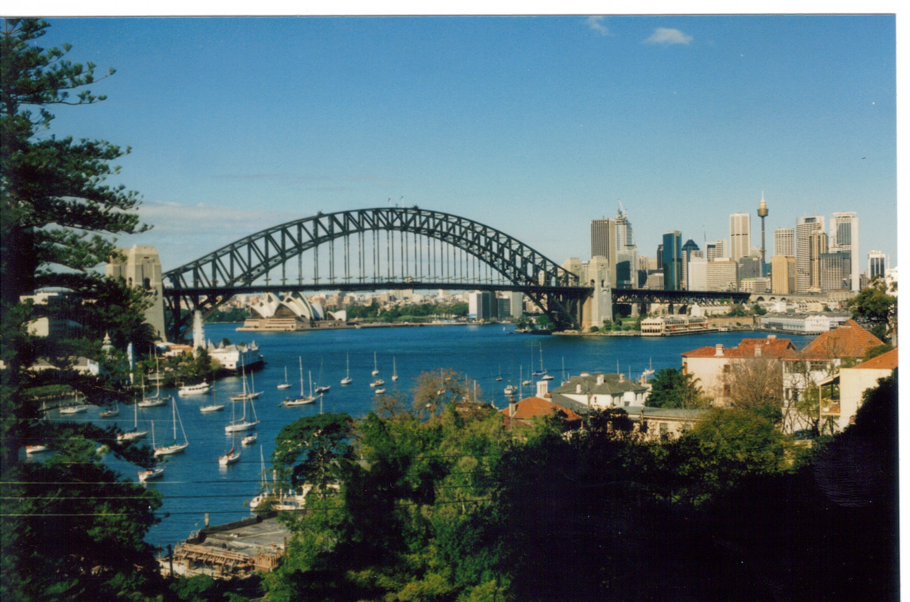 Lovely Lavender Bay